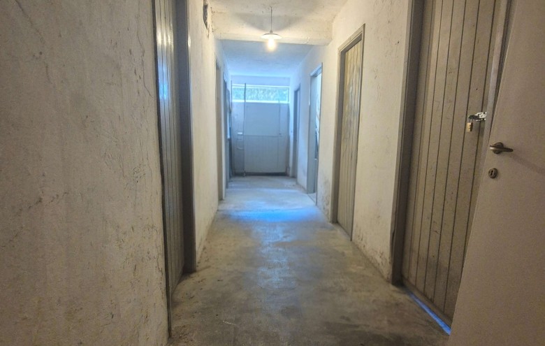 Agenzia Pegasus -