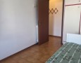 Pegasus - 