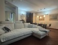 Pegasus - 