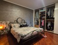 Pegasus - 