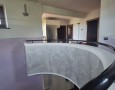 Pegasus - 