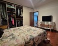 Pegasus - 