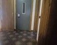 Pegasus - 