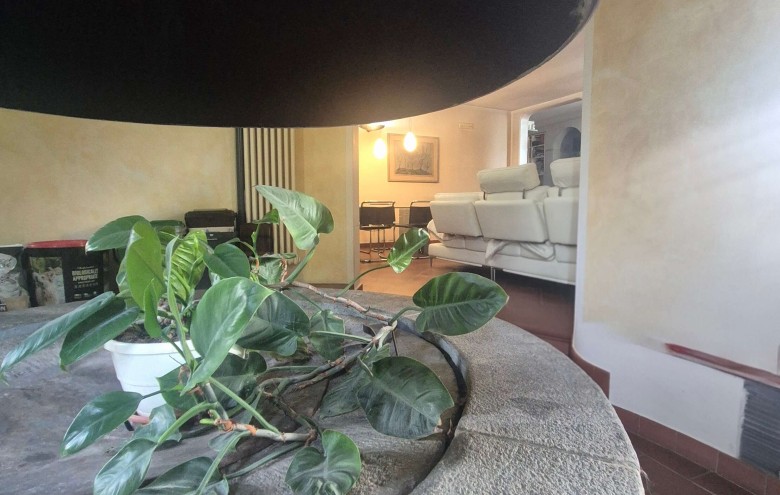 Agenzia Pegasus - 