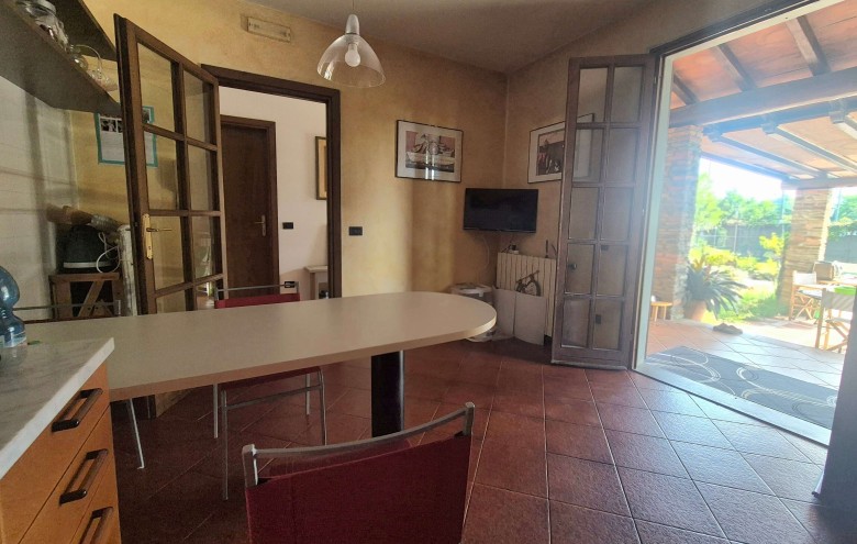 Agenzia Pegasus - 