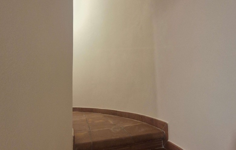 Agenzia Pegasus - 
