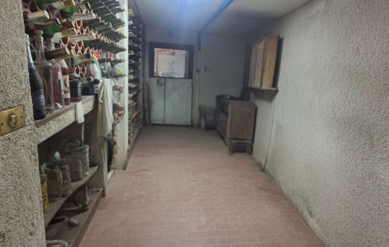 Agenzia Pegasus - 