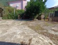 Pegasus - 