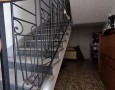 Pegasus - 