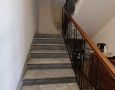 Pegasus - 