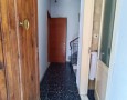 Pegasus - 