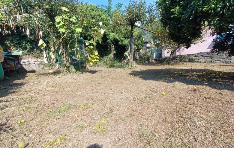 Agenzia Pegasus - 