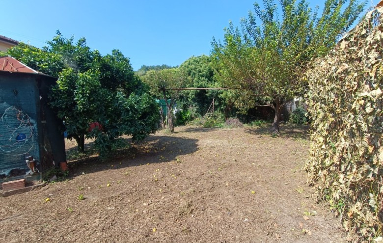 Agenzia Pegasus - 