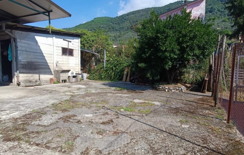 Agenzia Pegasus - 