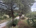 Giansereni Case - 