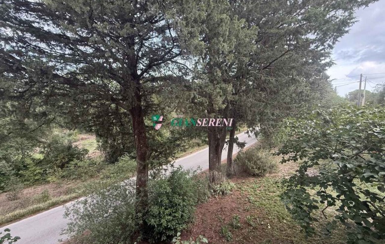 Agenzia Giansereni - 