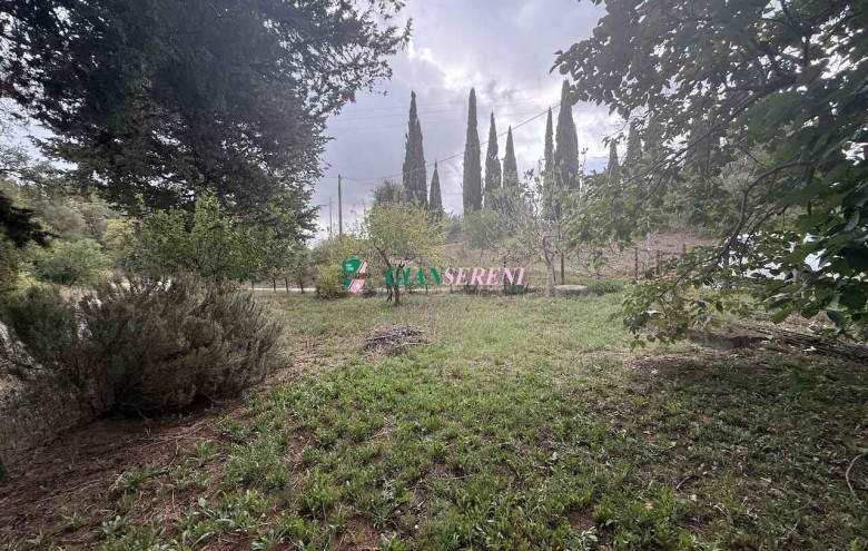 Agenzia Giansereni - 