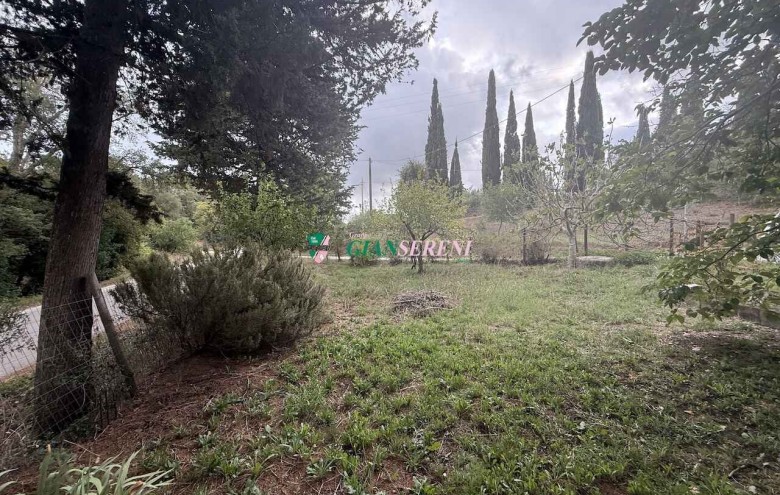 Agenzia Giansereni - 
