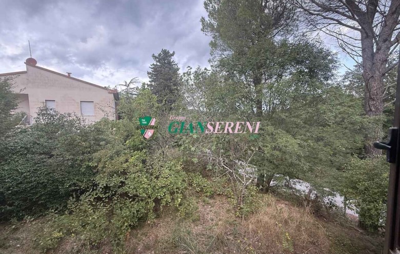 Agenzia Giansereni - 