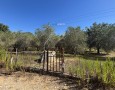 Giansereni Case - 