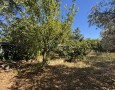 Giansereni Case - 