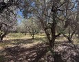 Giansereni Case - 