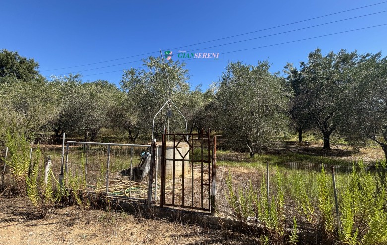 Agenzia Giansereni - 