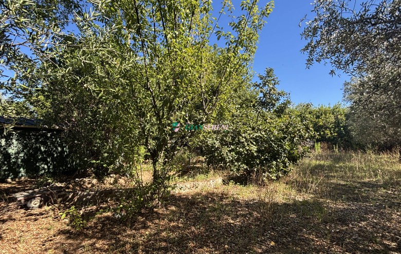 Agenzia Giansereni - 