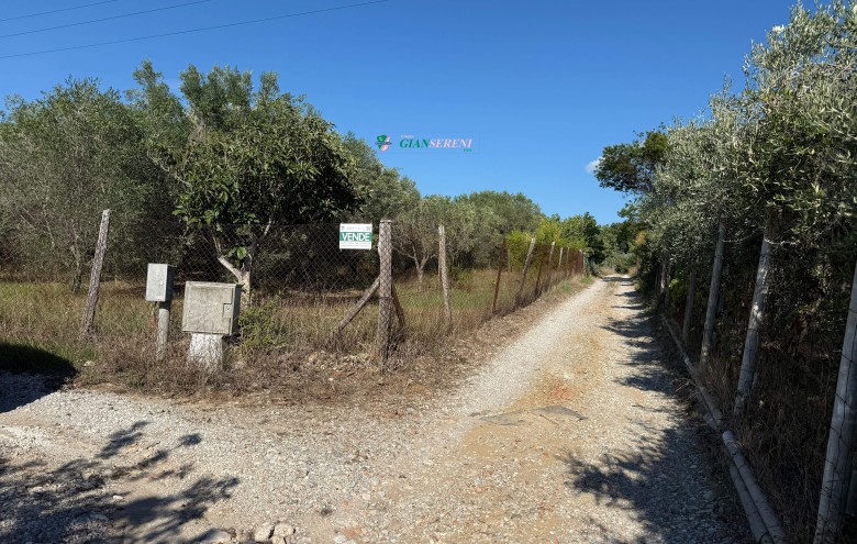 Agenzia Giansereni - 
