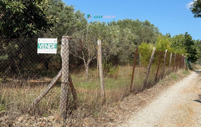Agenzia Giansereni - 