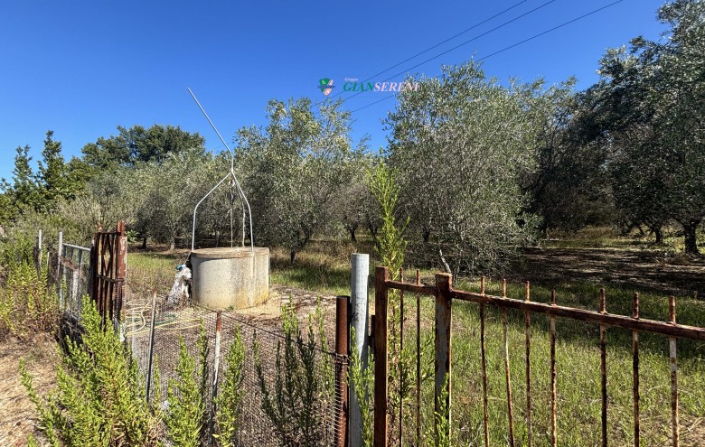 Agenzia Giansereni - 