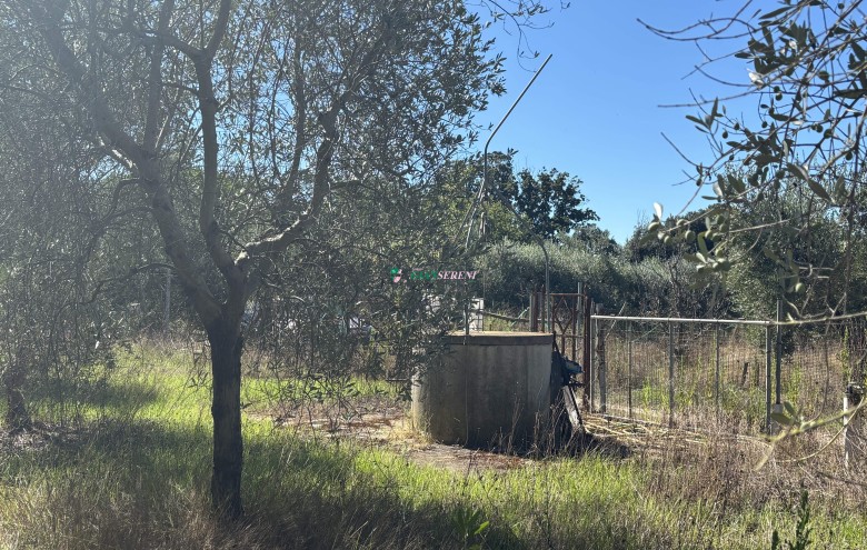 Agenzia Giansereni - 