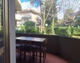 Pegasus - 