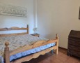 Pegasus - 