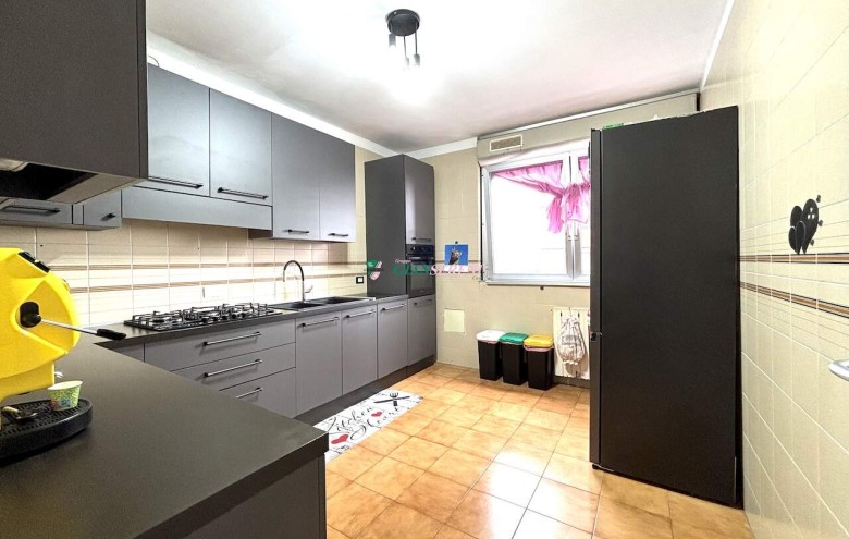 Agenzia Giansereni - 