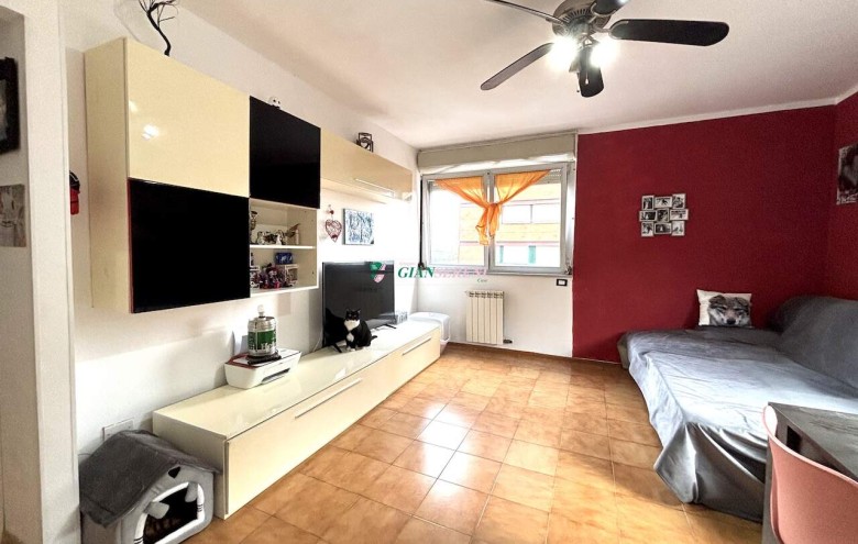 Agenzia Giansereni - 