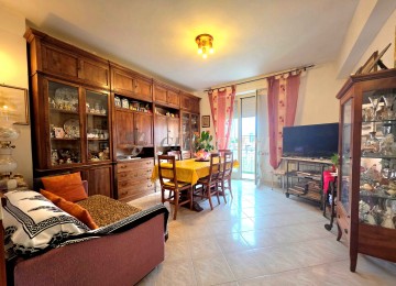 Cassarello