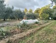 Giansereni Case - 