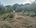 Giansereni Case - 