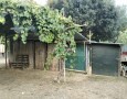 Giansereni Case - 