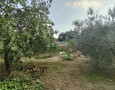 Giansereni Case - 