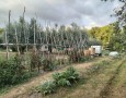 Giansereni Case - 