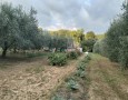 Giansereni Case - 