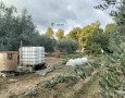 Giansereni Case - 