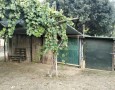 Giansereni Case - 