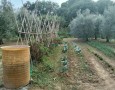 Giansereni Case - 