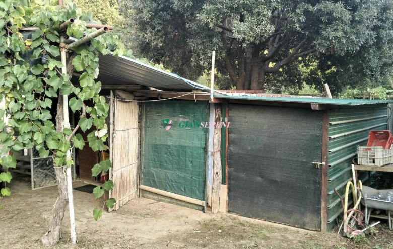 Agenzia Giansereni - 