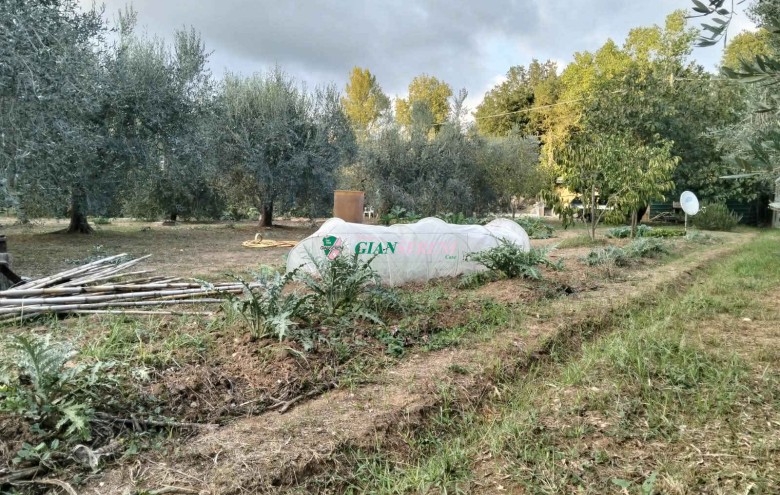 Agenzia Giansereni - 