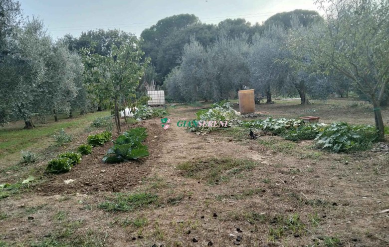 Agenzia Giansereni - 