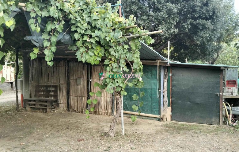 Agenzia Giansereni - 